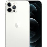Apple iPhone 12 Pro Max 256GB (серебристый)