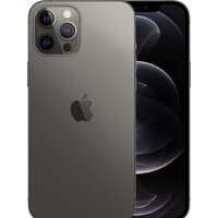 Apple iPhone 12 Pro Max 256GB (графитовый)
