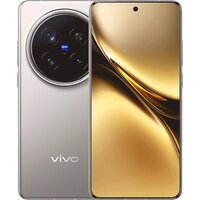 Vivo X200 Pro 12GB/256GB китайская версия (титан)