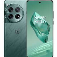 OnePlus 12 16GB/512GB китайская версия (зеленый)