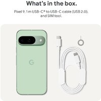 Google Pixel 9 12GB/256GB (винтергрин) Image #11